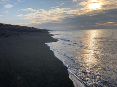 手負いの座布団