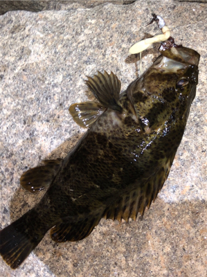 タケノコ狩り。