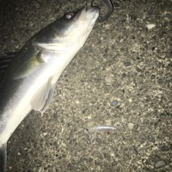 強風の中なんとか