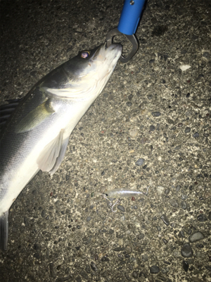 強風の中なんとか