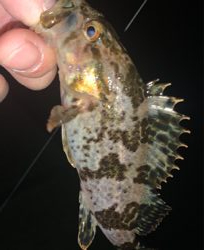 表層と思ったら底