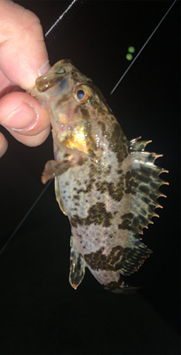 表層と思ったら底