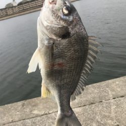 ダブルからの…