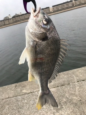 ダブルからの…