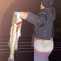 ショアジギ五郎