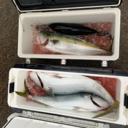 ドリームチェイサー丹後沖ジギング