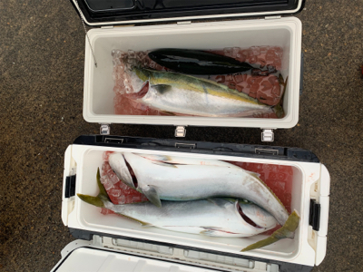 ドリームチェイサー丹後沖ジギング