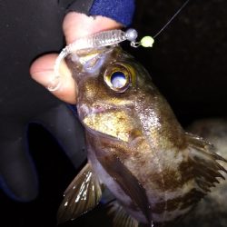 ナイトメバリング