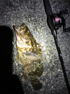 自己記録更新！