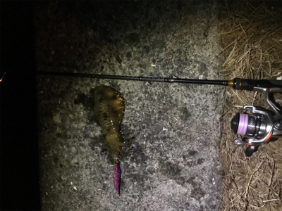 宇和島ライトゲーム