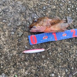 ライトショアジギング