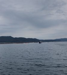 高知県西部ズボ釣り