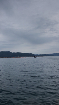 高知県西部ズボ釣り