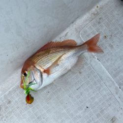 壱岐沖でタイラバ