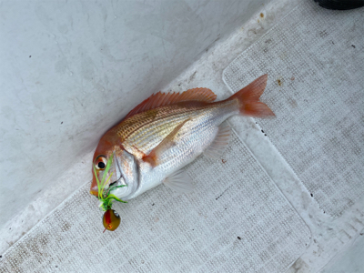 壱岐沖でタイラバ