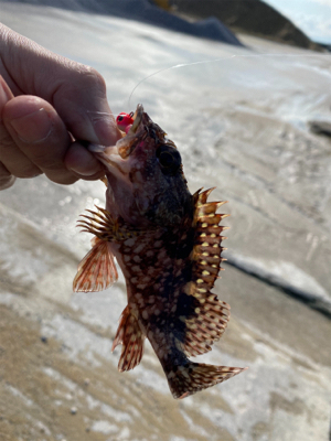 ちょー久しぶり