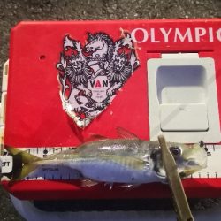 アジング練習 123