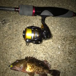 雨に降られて強制終了