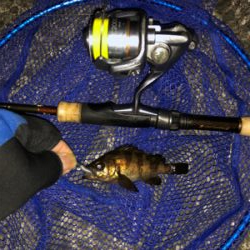 せっかくのメバル凪やけど…