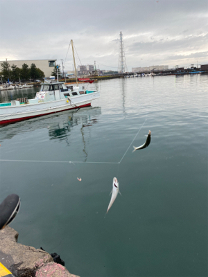 爆釣継続中！