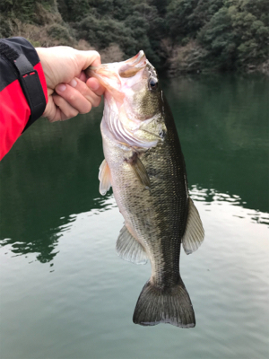 1日ボート釣行！