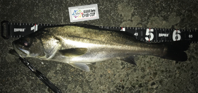 珍しくバチの恩恵を頂きましたっ！