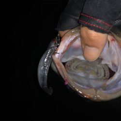 雨後ナイトゲーム