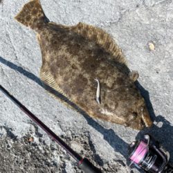 初フィッシュ！ヒラメ！