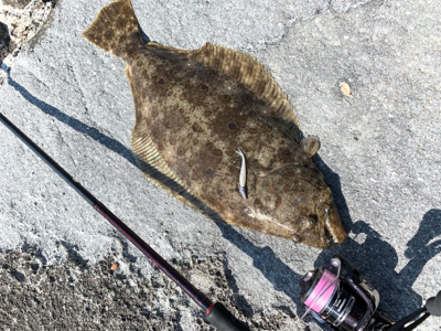 初フィッシュ！ヒラメ！