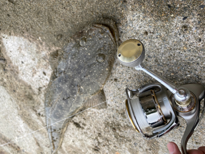 チャリンコ爆走からの…