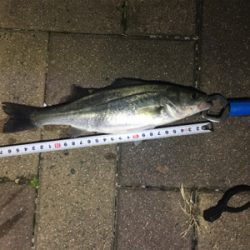 時合終了後の粘り