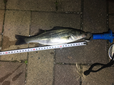 時合終了後の粘り