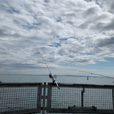 イシモチきました