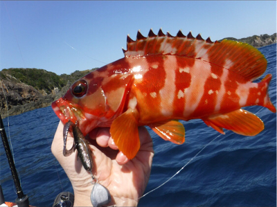 カヤックフィッシング！