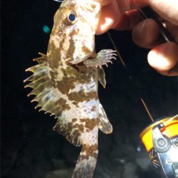とある小雨後のゴロタプラッキング