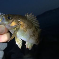 干潮だってなんのその!