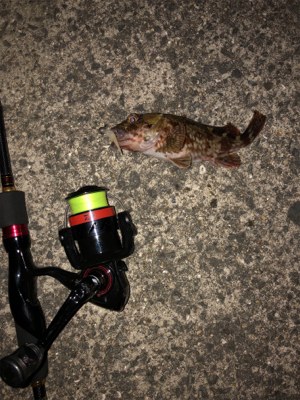 今回は渋かった