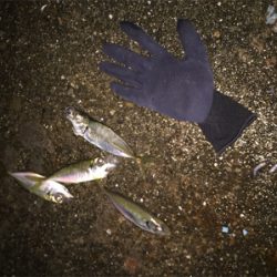 アジ釣り
