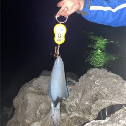 海からの贈り物