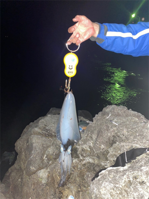 海からの贈り物