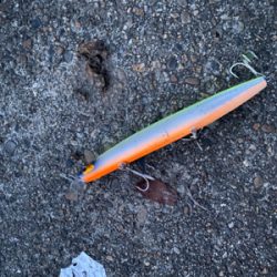 初だしのリールで鱗付け成功！