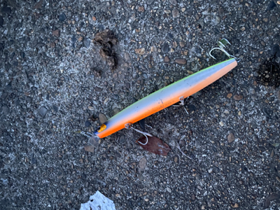 初だしのリールで鱗付け成功！