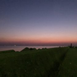 まだまだアジが釣れる