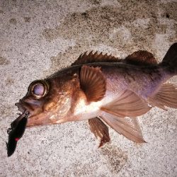 魔法のリトリーブ