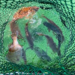 ポート田尻さんにて