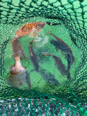 ポート田尻さんにて