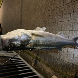 朝(夜中)1、夕方(夜)2