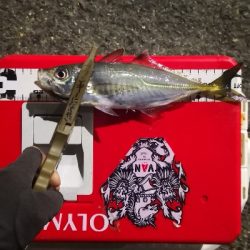 アジング 練習 125