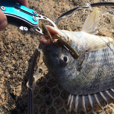 淀川ブリームゲーム