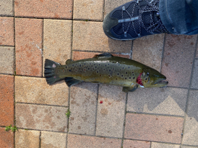 服部緑地再会　ルアーは初心者には地獄ですよ…